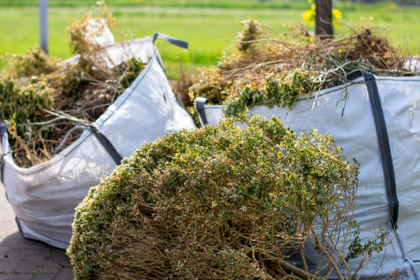 Basement Cleanout Services in Jackson, WI